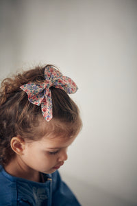 Barrette Gilla